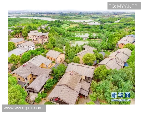 进贤姚明霞：在新时代背景下的乡村振兴与女性力量的崛起